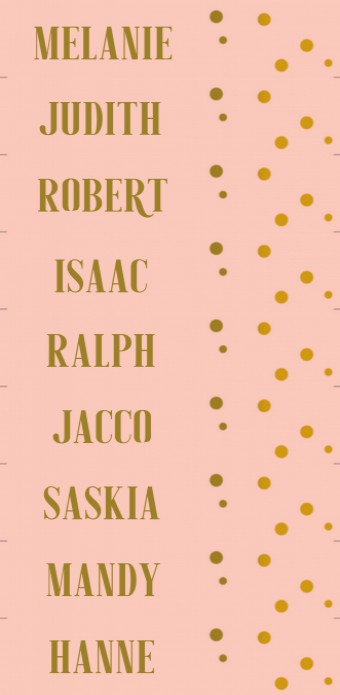 Naamkaartjes DIY Lang - Festival Roze