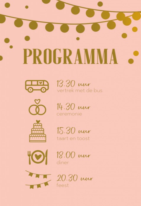 Programmakaart - Festivallampjes Roze